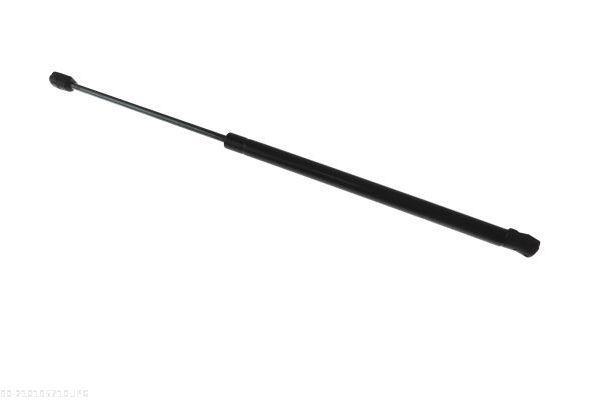AUTOMEGA 210195710 Gas Spring, boot/cargo area