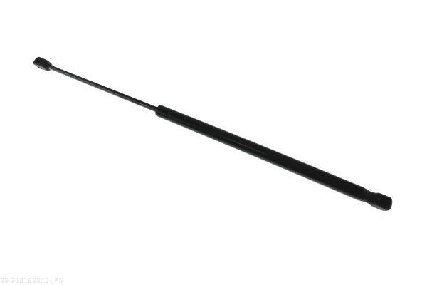 AUTOMEGA 210196010 Gas Spring, boot/cargo area