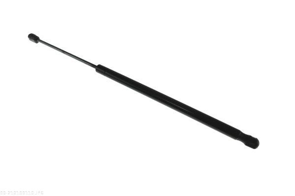 AUTOMEGA 210199110 Gas Spring, boot/cargo area