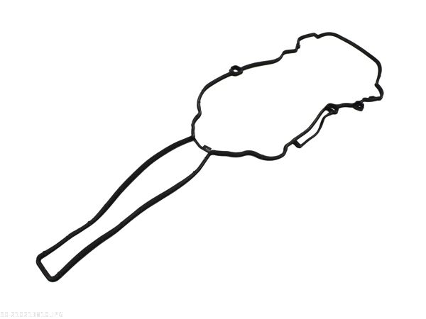 AUTOMEGA 210213810 Gasket, cylinder head cover