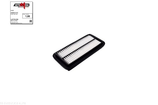 AUTOMEGA 250051310 Air Filter