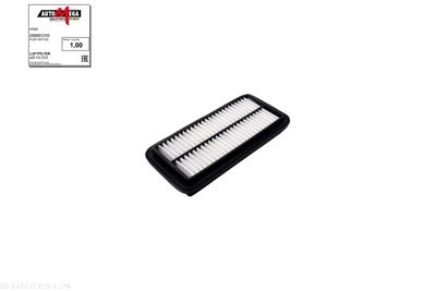 Air Filter AUTOMEGA 250051310