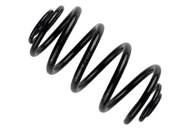 Suspension Spring BILSTEIN 36-272297