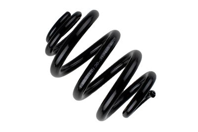 Suspension Spring BILSTEIN 38-312465