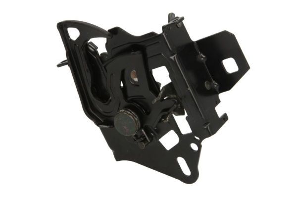 BLIC 3011-01-020210P Bonnet Lock