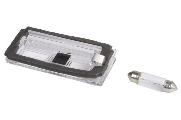 BLIC 5402-003-07-905 Licence Plate Light