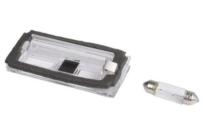 Licence Plate Light BLIC 5402-003-07-905