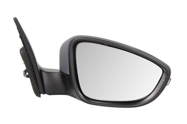 BLIC 5402-01-2002590P Exterior Mirror