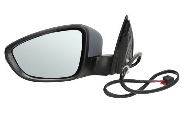 BLIC 5402-01-2002669P Exterior Mirror