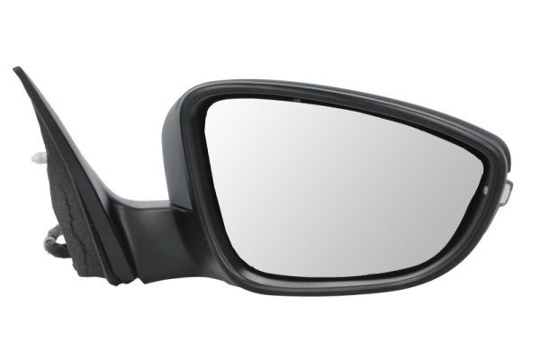 BLIC 5402-01-2002694P Exterior Mirror