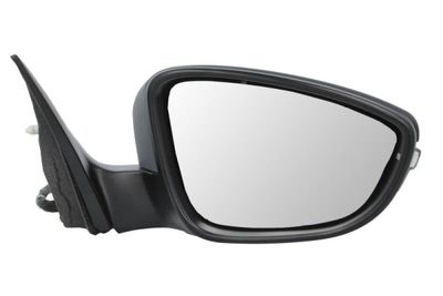 Exterior Mirror BLIC 5402-01-2002694P