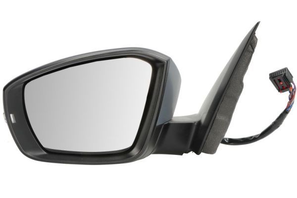 BLIC 5402-01-2339314P Exterior Mirror