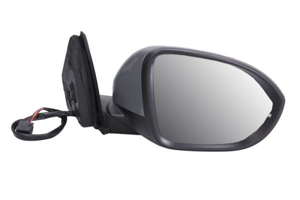 BLIC 5402-01-2542311P Exterior Mirror