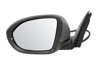 Exterior Mirror BLIC 5402-01-2542312P