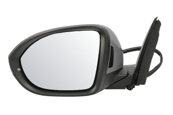 BLIC 5402-01-2542314P Exterior Mirror