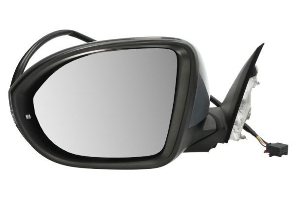 BLIC 5402-01-2555310P Exterior Mirror
