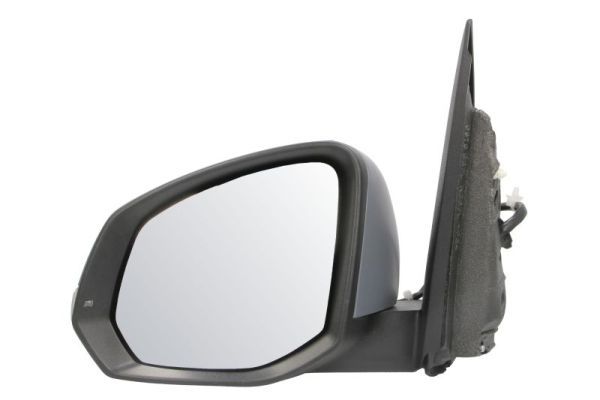 BLIC 5402-01-2583310P Exterior Mirror