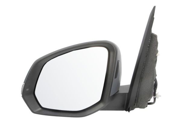 BLIC 5402-01-2583312P Exterior Mirror