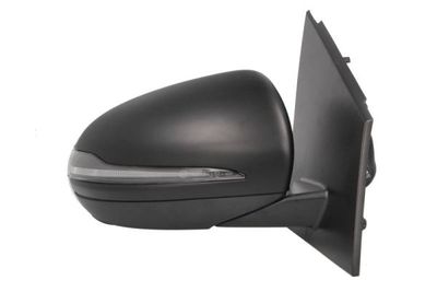 Exterior Mirror BLIC 5402-02-2299315P