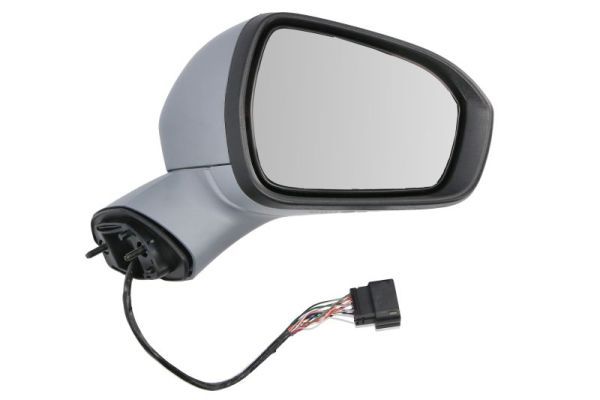 BLIC 5402-03-0405315P Exterior Mirror