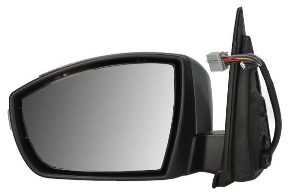 BLIC 5402-03-0420310P Exterior Mirror