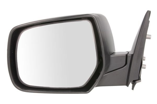 BLIC 5402-03-2001229P Exterior Mirror