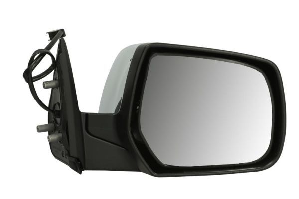 BLIC 5402-03-2001236P Exterior Mirror