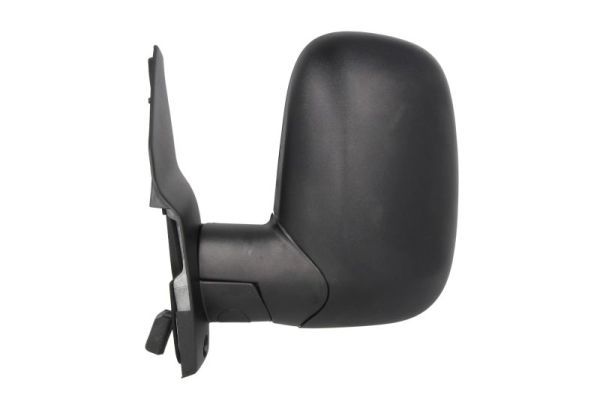 BLIC 5402-03-2001319P Exterior Mirror