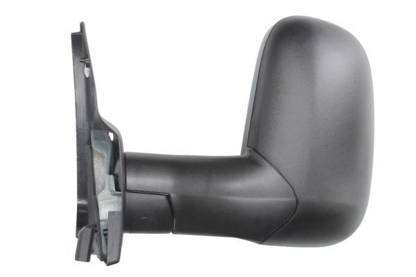 BLIC 5402-03-2001321P Exterior Mirror