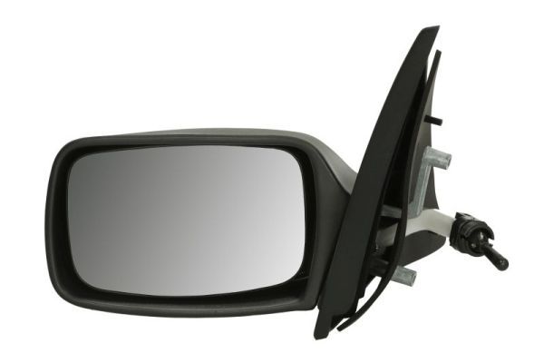 BLIC 5402-03-2002823P Exterior Mirror