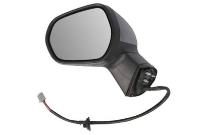 Exterior Mirror BLIC 5402-03-2326312P
