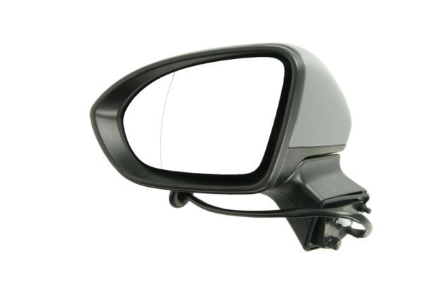 BLIC 5402-04-0405291P Exterior Mirror
