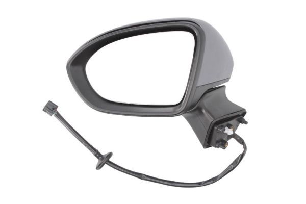 BLIC 5402-04-0405293P Exterior Mirror