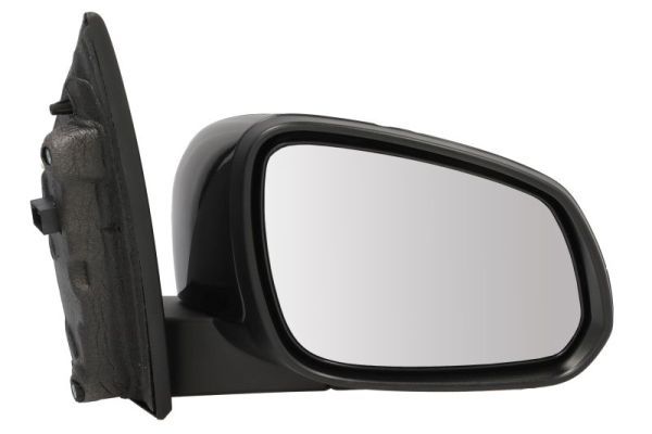 BLIC 5402-04-1072311P Exterior Mirror