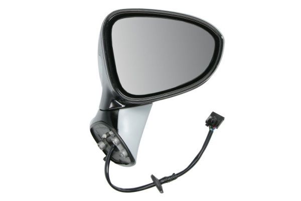 BLIC 5402-04-1103317P Exterior Mirror