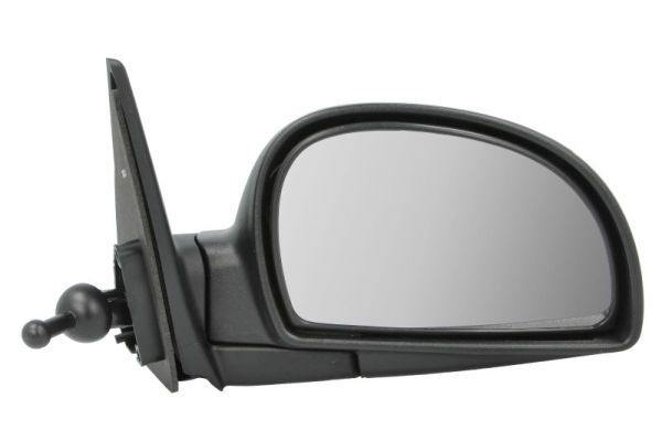 BLIC 5402-04-1115575P Exterior Mirror