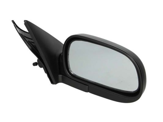 BLIC 5402-04-1115991P Exterior Mirror