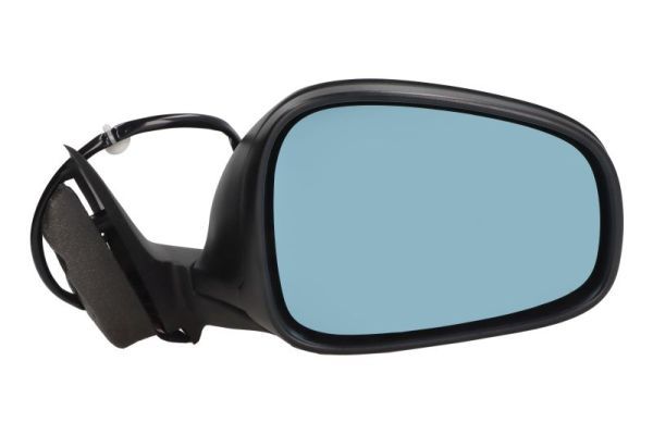 BLIC 5402-04-1121210P Exterior Mirror