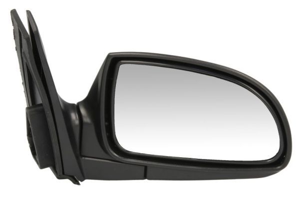 BLIC 5402-04-1121575P Exterior Mirror