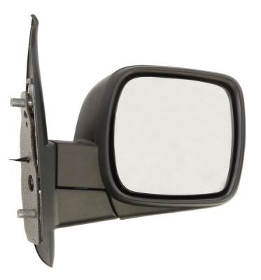 Exterior Mirror BLIC 5402-04-1121586P