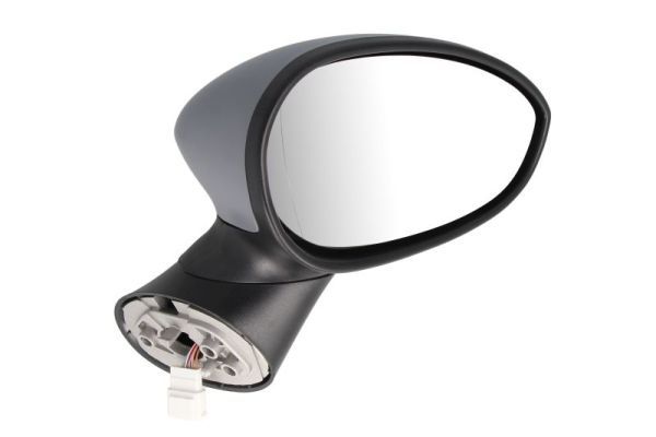 BLIC 5402-04-1122933 Exterior Mirror