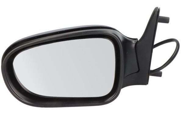 BLIC 5402-04-1125131 Exterior Mirror