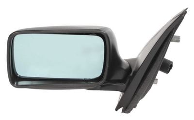 Exterior Mirror BLIC 5402-04-1125279