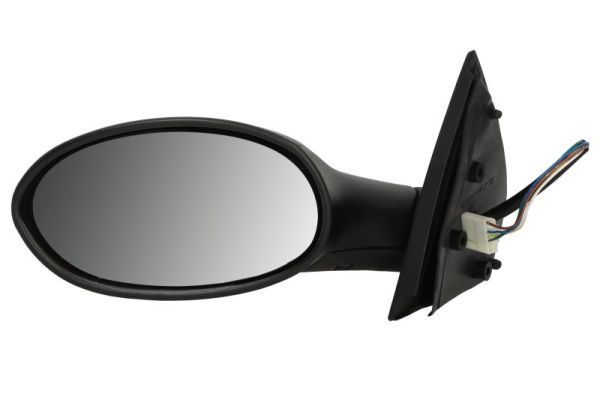 BLIC 5402-04-1125284 Exterior Mirror