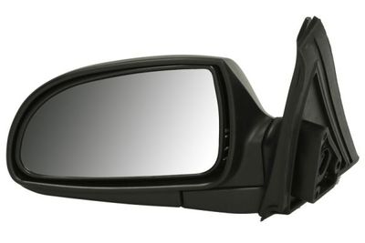 Exterior Mirror BLIC 5402-04-1125575