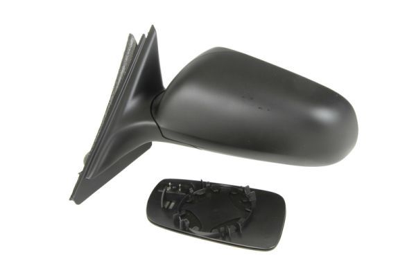 BLIC 5402-04-1125593 Exterior Mirror