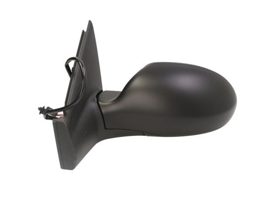 BLIC 5402-04-1125852 Exterior Mirror