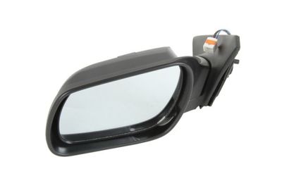 Exterior Mirror BLIC 5402-04-1125992