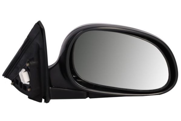 BLIC 5402-04-1128212 Exterior Mirror