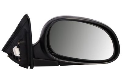 Exterior Mirror BLIC 5402-04-1128212